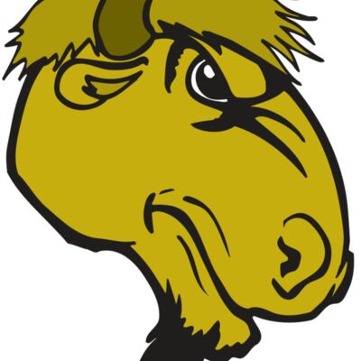 AR BUFFALO 14 RC Thumbnail