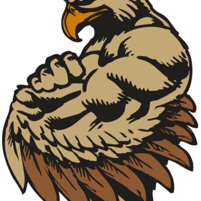 BAW HWK FLCN 02 RC Thumbnail