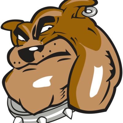 BULLDOG HD0501 RQC Thumbnail