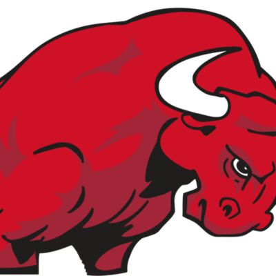 AR BULL 12 RC Thumbnail