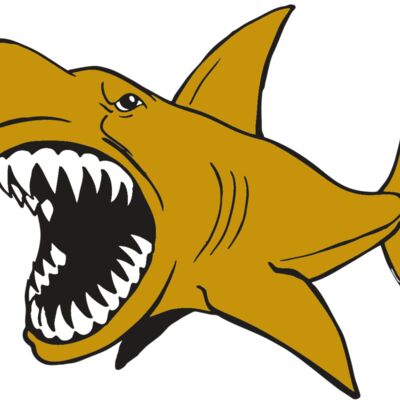 AR  SHARK 21 RC Thumbnail