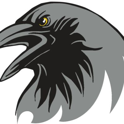 AR31 RAVEN 02 RQC Thumbnail