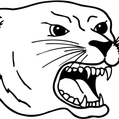 CAT17 Thumbnail