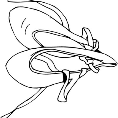 SHOE07 Thumbnail