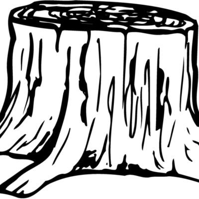 TIMBER07 Thumbnail